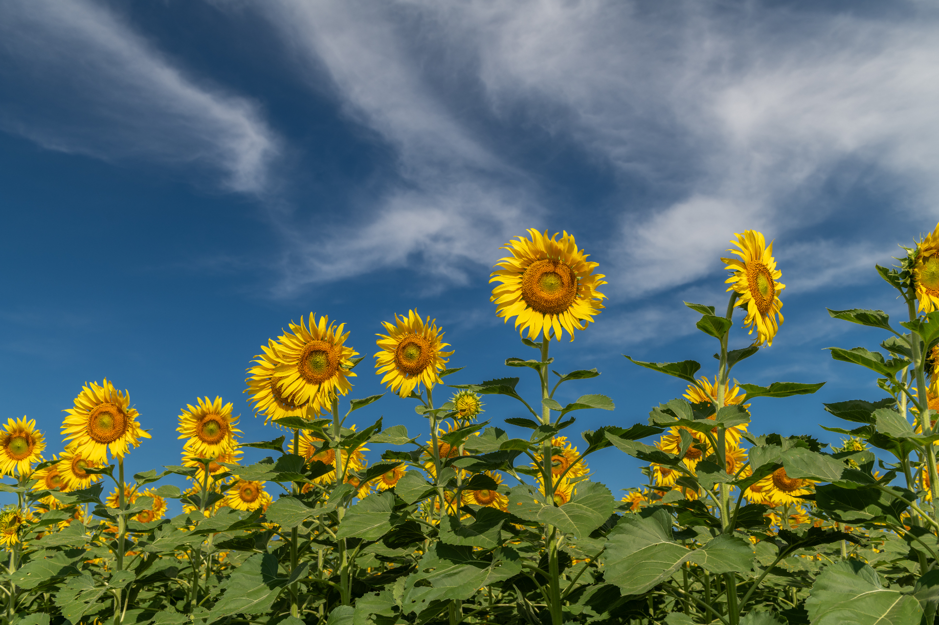 Finding Clarity — end-of-life doula support from The Last Chapter Co.