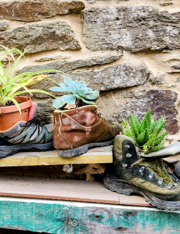 Wildflowers growing from a pair of worn shoes