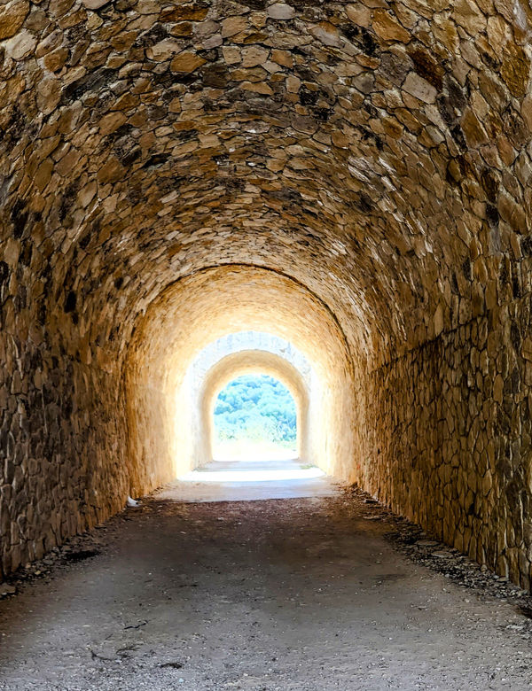 Light at the end of a tunnel of trees